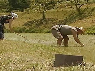 Fucking in Nippon VIP: Exploring the Art of Japan Village Porn